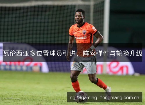 瓦伦西亚多位置球员引进,阵容弹性与轮换升级 瓦伦西亚多位置球员引进,阵容弹性与轮换升级
